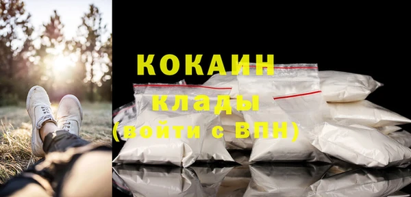 Альфа ПВП Горняк