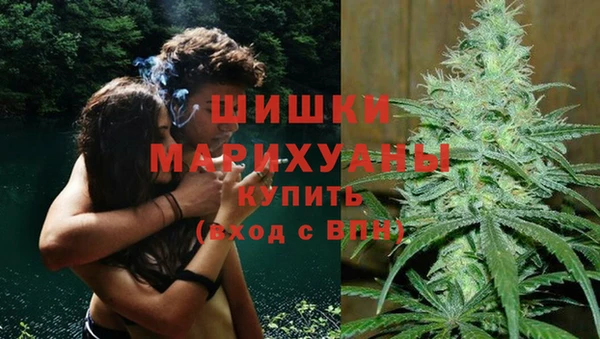 Альфа ПВП Горняк