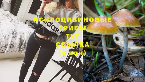 Альфа ПВП Горняк