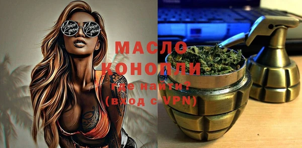 Альфа ПВП Горняк