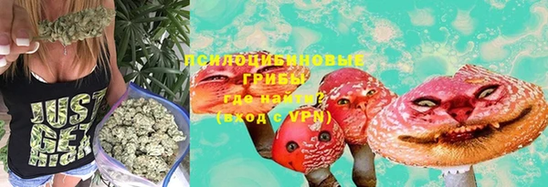 стафф Горно-Алтайск