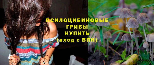 спиды Горнозаводск
