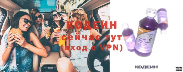 Альфа ПВП Горняк