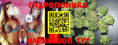 сатива Ливны