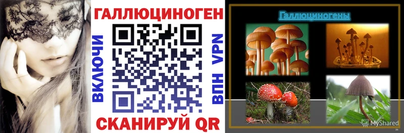 Галлюциногенные грибы Psilocybine cubensis  Домодедово 